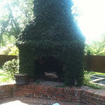 outdoor fireplace covered in ivy