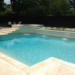 L-shaped pool with higher spa